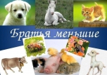 Студенты группы 11 б ДО реализуют проект "Братья наши меньшие"