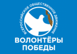 Волонтеры Победы 2017