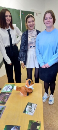 Учимся играть