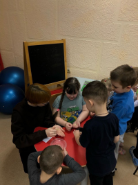 Новости из Детской Академии